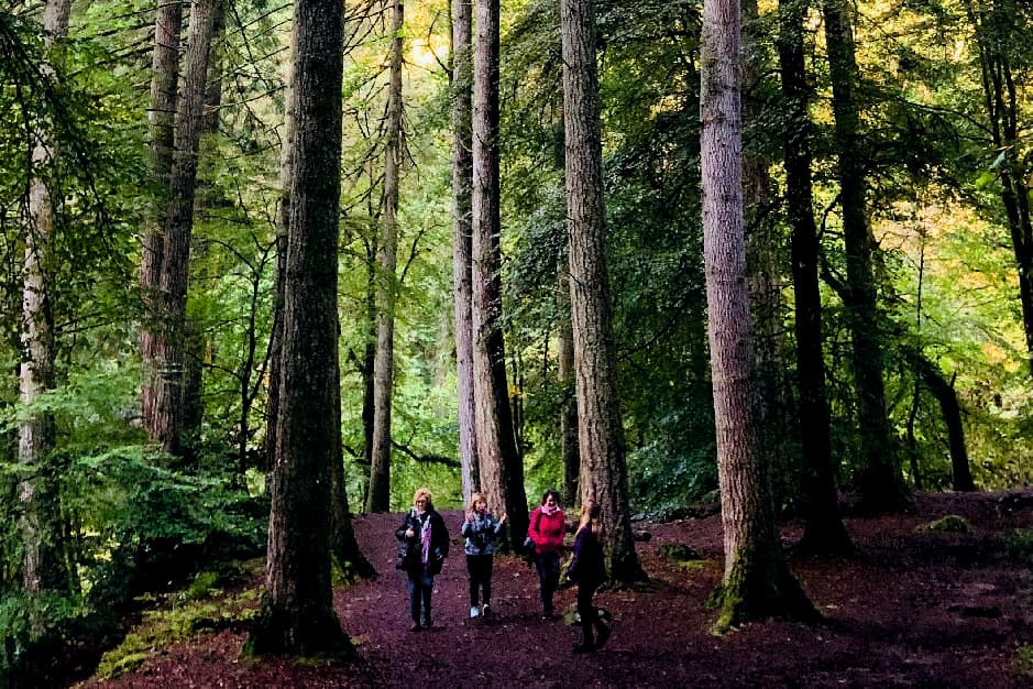 One-Day Highland Adventure with Tierras Altas in Scotland