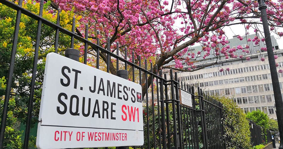 St. James's Square park sign with pink blossoms in London