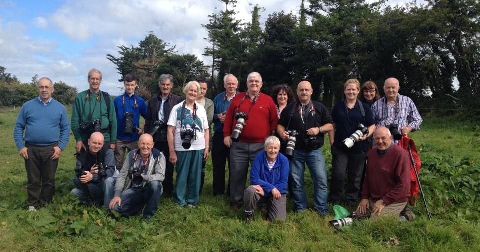 Hawk Walk in County Waterford: Free-Flying Harris Hawk in Ireland's Ancient East