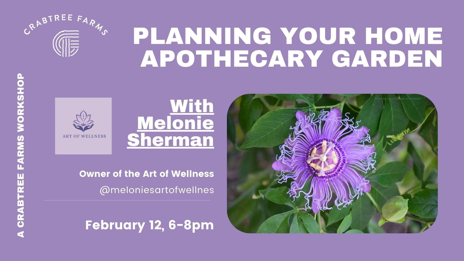 Plan Your Home Apothecary Garden at Crabtree Farms of Chattanooga photo 1