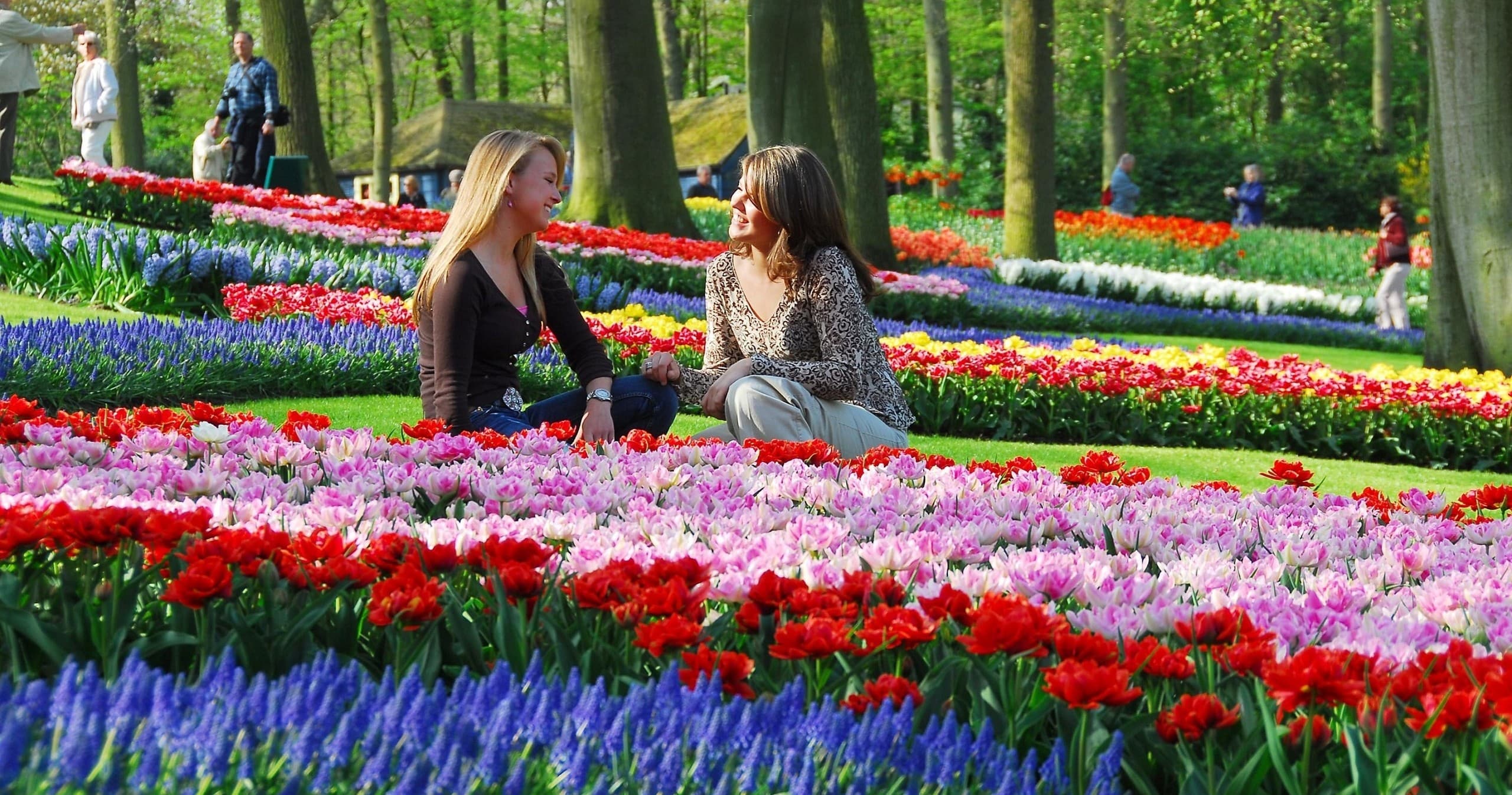 Keukenhof & Flowerfields Tour by Amsterdam Transfer Services in Lisse