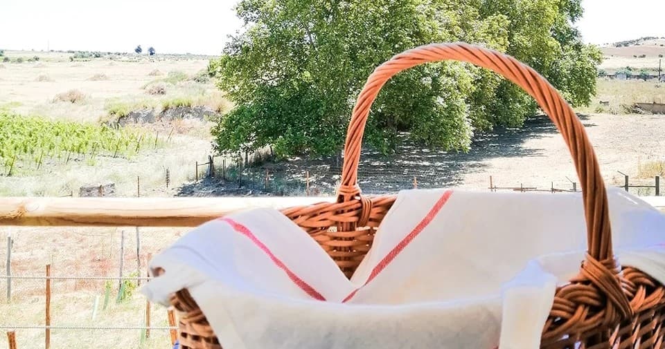 Wine & Landscape Adventure at Reguengos Winery in Alentejo