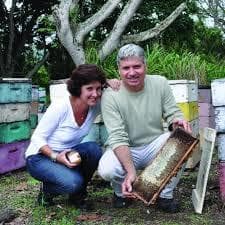 Discover the Buzz: An Immersive Beekeeping Tour Near Kealakekua Bay