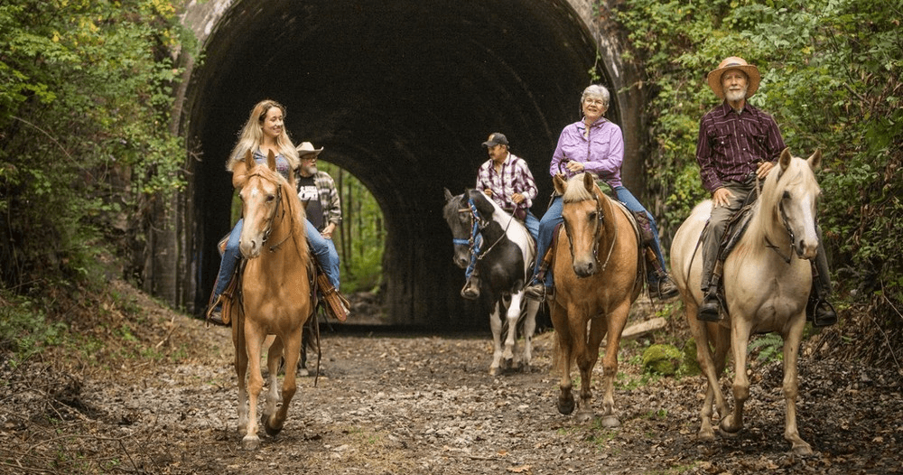 Equestrian Stall Rental at Uncle Buck's Riding Stable