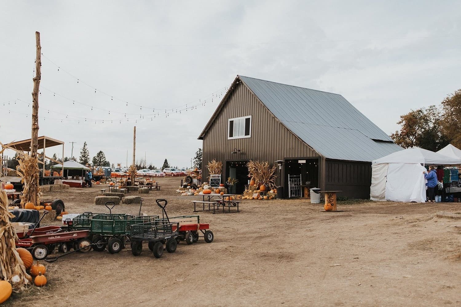 Morning Party Tent Rental at rustytruckranch – Reserve Covered Seating for Small Celebrations