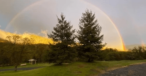 2-Night Dog Boarding in Big Oak Flat, California