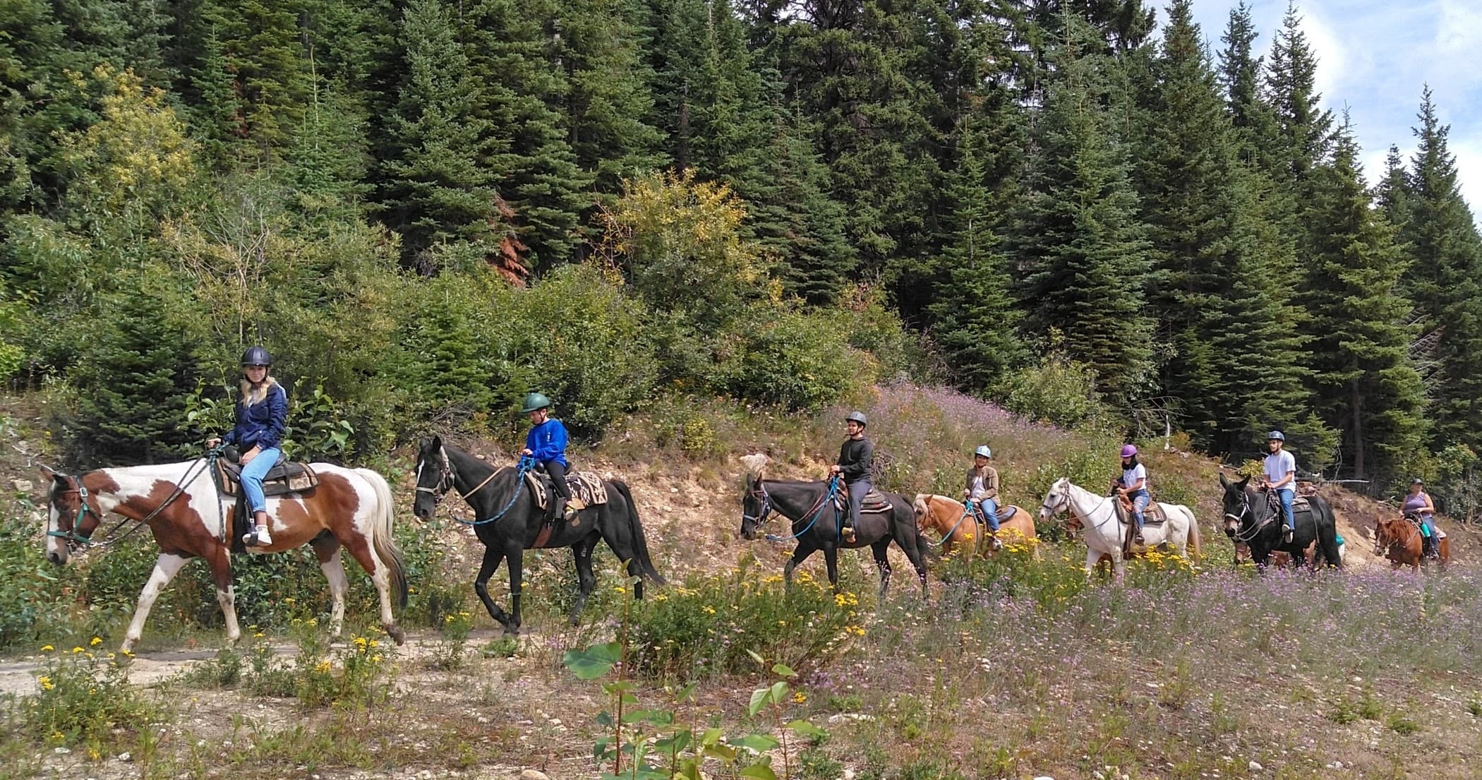 Group Horseback Ride Through Sandpoint's Mountain Trails