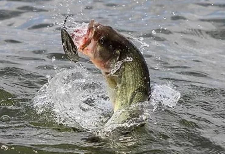 Uncle Ande's Fishing Cabin: Wisconsin's Minocqua Escape