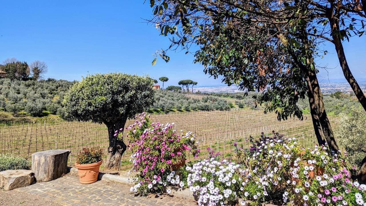 Vineyard Vibes Wine Tour with ItaliaTours near Rome