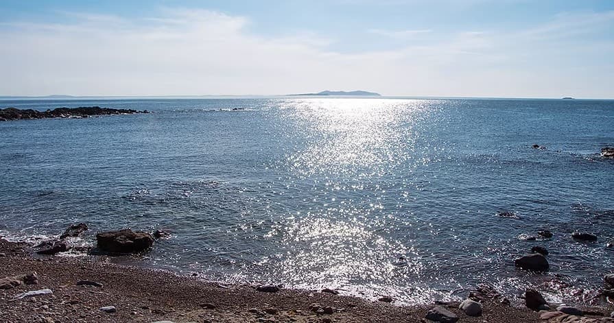 Farming the Inishturk Commonage: Full-Day Island Farm Walk and Lunch photo 1