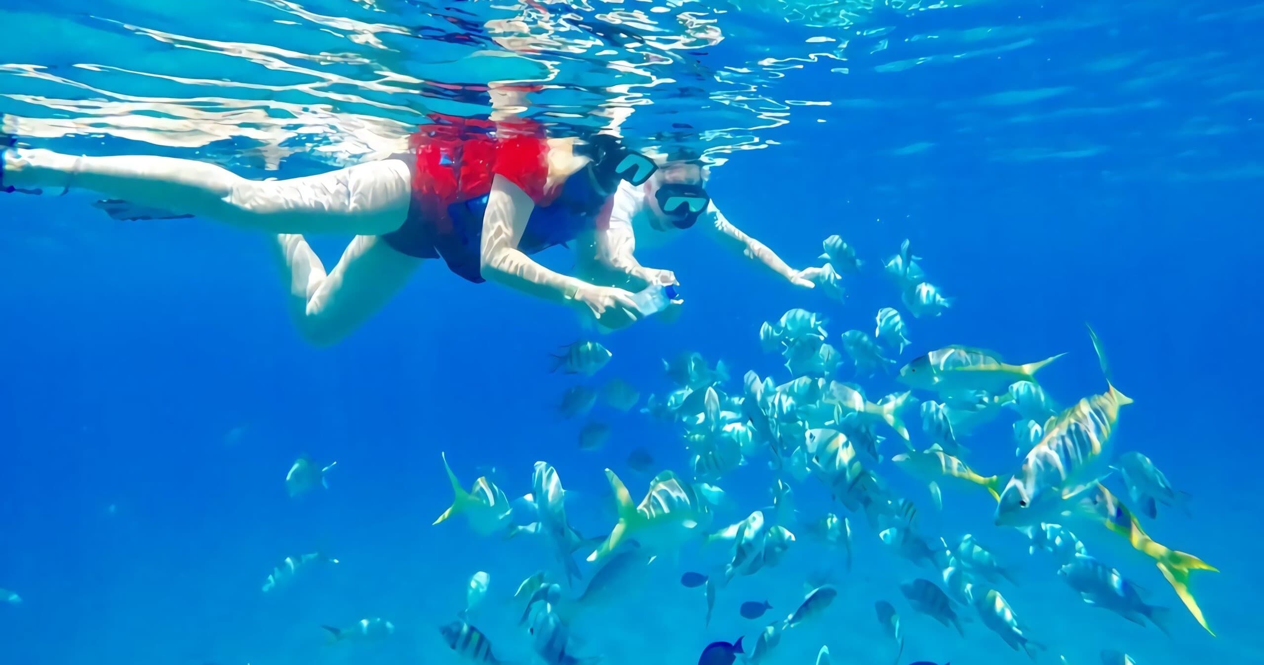 Caribbean Snorkel & Party Boat in Puerto Plata — 5-Hour Open-Bar Reef Cruise photo 1