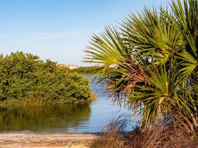 Paddle Picnic & Play: Explore Salt Run’s Scenic Waters in St. Augustine