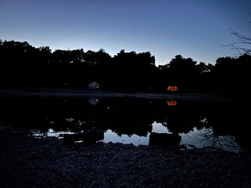 Creatures of the Twilight: Guided Evening Wildlife Walk in the New Forest (Brockenhurst) photo 1