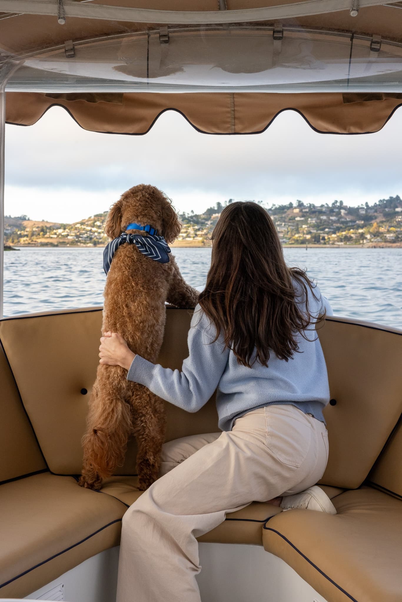 Pup-Friendly Boat Rentals with BAE Boats in Alameda