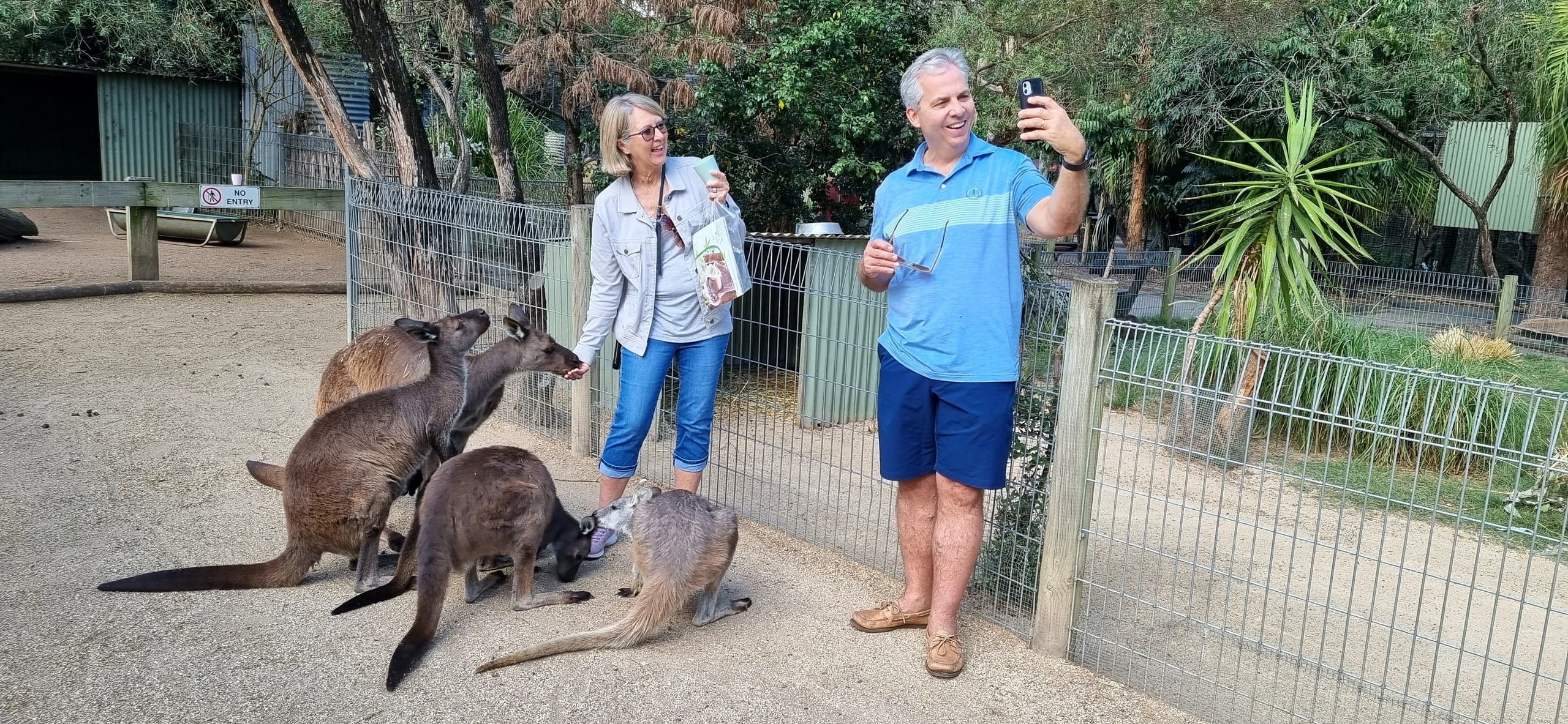 Outdoor Adventures & Wildlife at Blue Mountains from Sydney