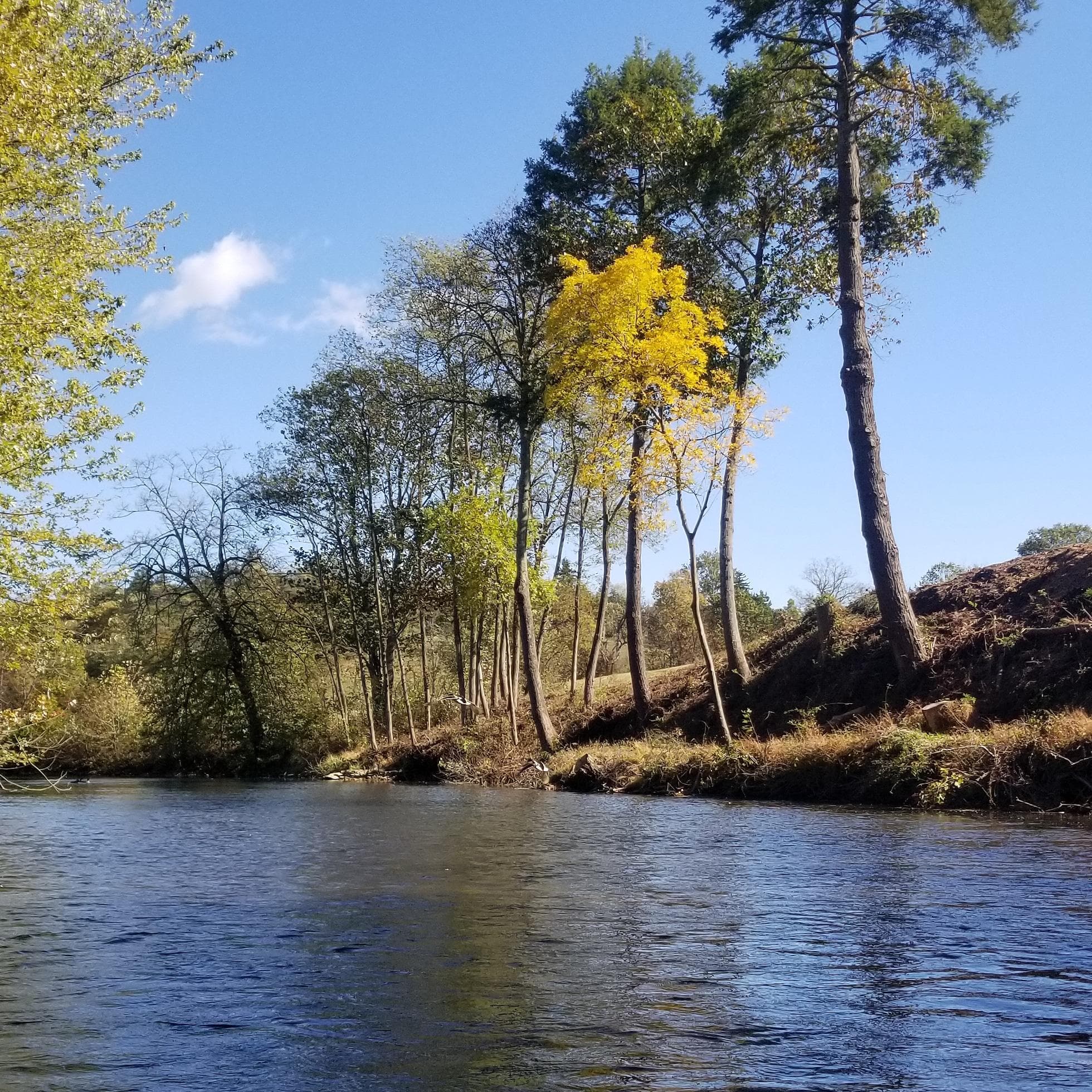 Water Activities & Susquehanna Outfitters: Fall Foliage Kayak Tour