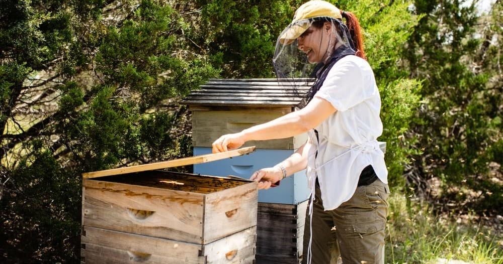Wildlife & Nature Beekeeping with Bee Mindful in Texas