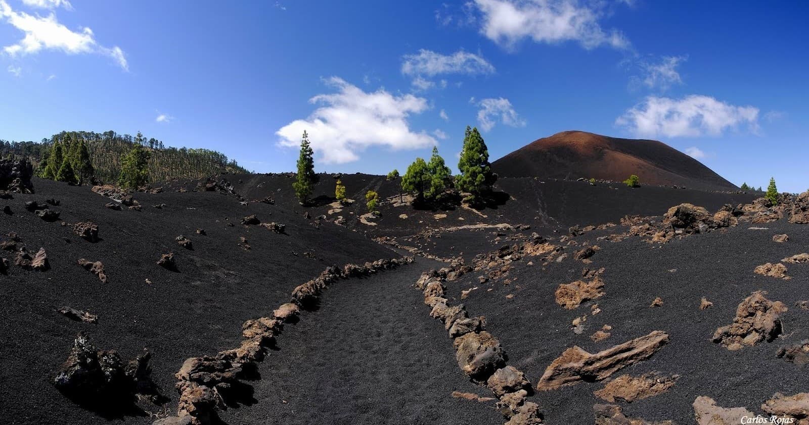 Explore Tenerife’s Chinyero Natural Reserve: A 5-Hour Volcanic Hiking Adventure