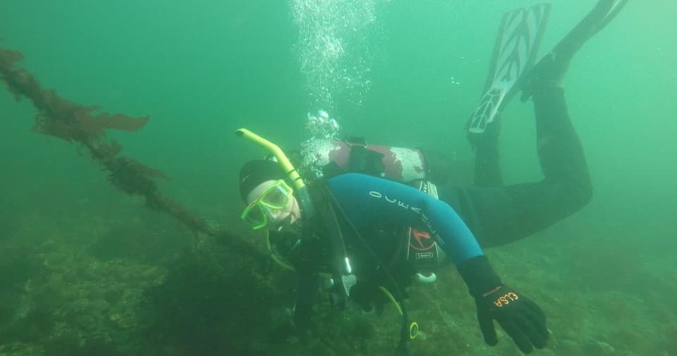 PADI Open Water Diver Course on Bainbridge Island with Exotic Aquatics