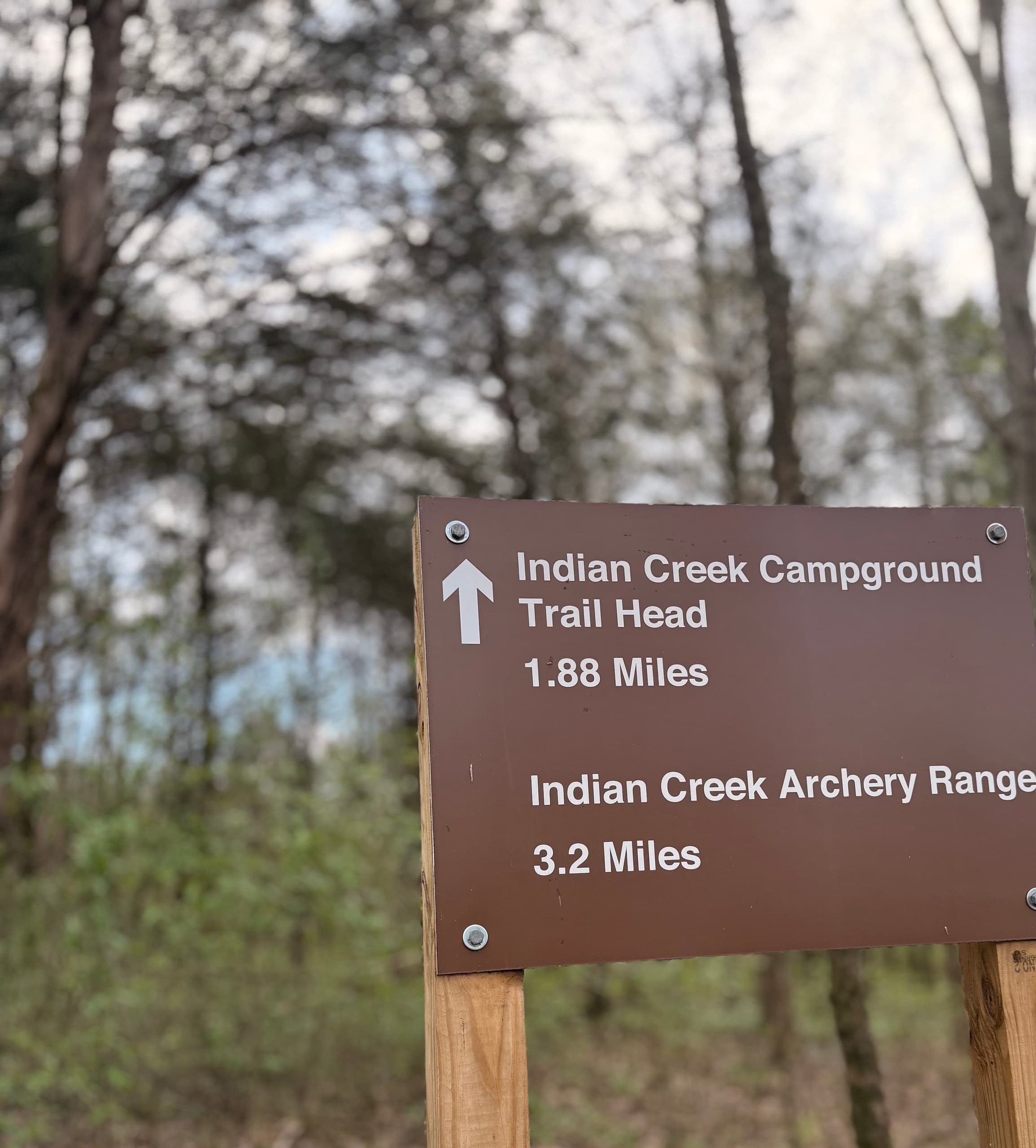 Periwinkle Trail Hike and Kayak Adventure in Granville, TN