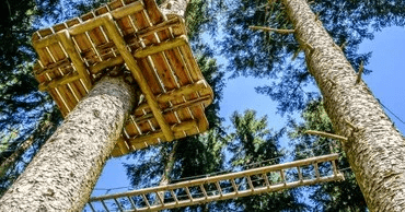 Kids Course Adventure at Carolina Treetop Challenge, Albemarle