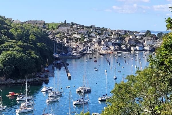 Fowey Estuary Guided Walk with Lucy Daniel Guide