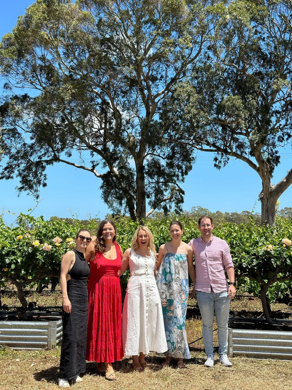 McLaren Vale & Hahndorf Tour with BOS Tours