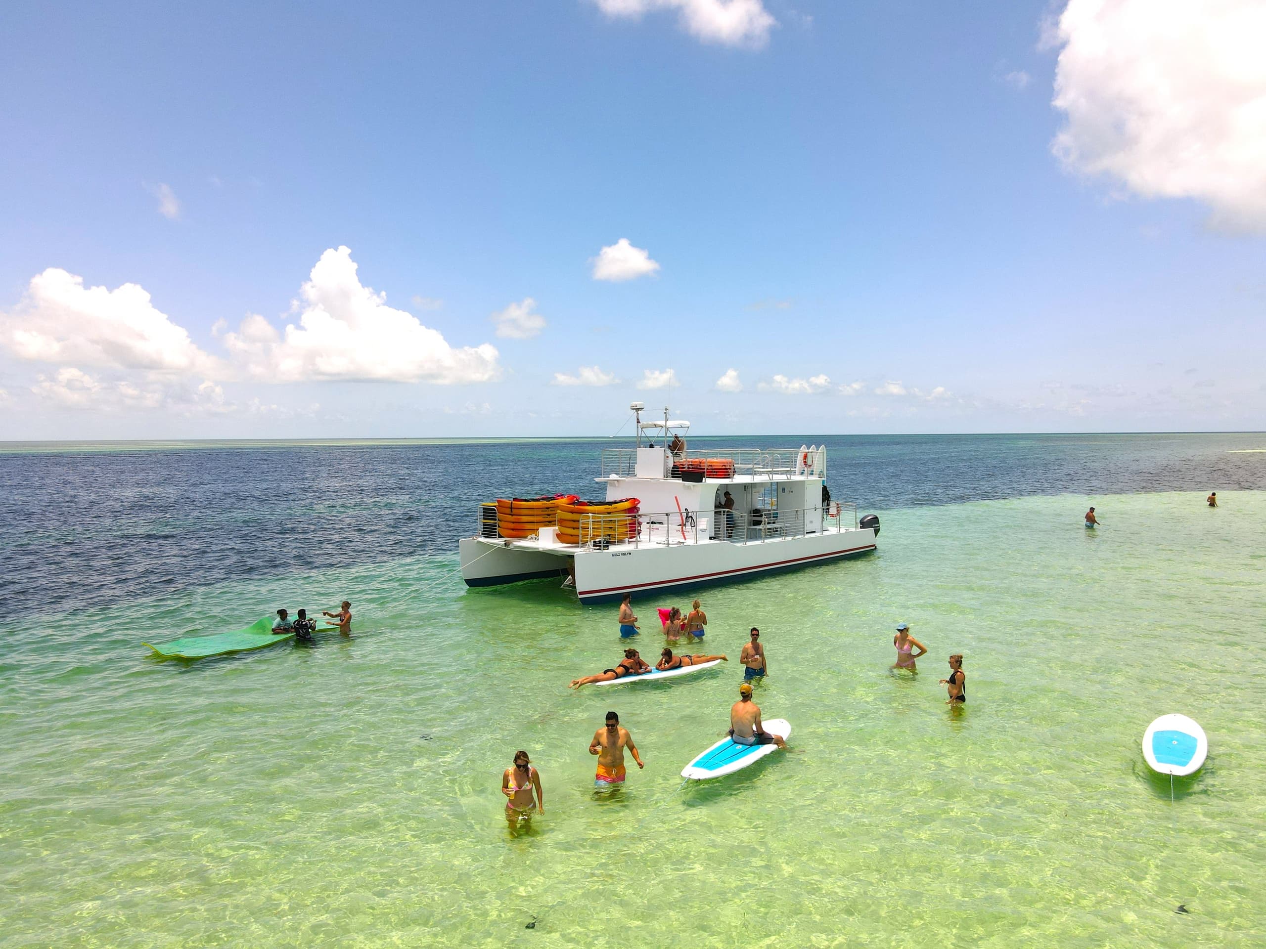 Sandbar & Dolphin Adventure in Key West, Florida
