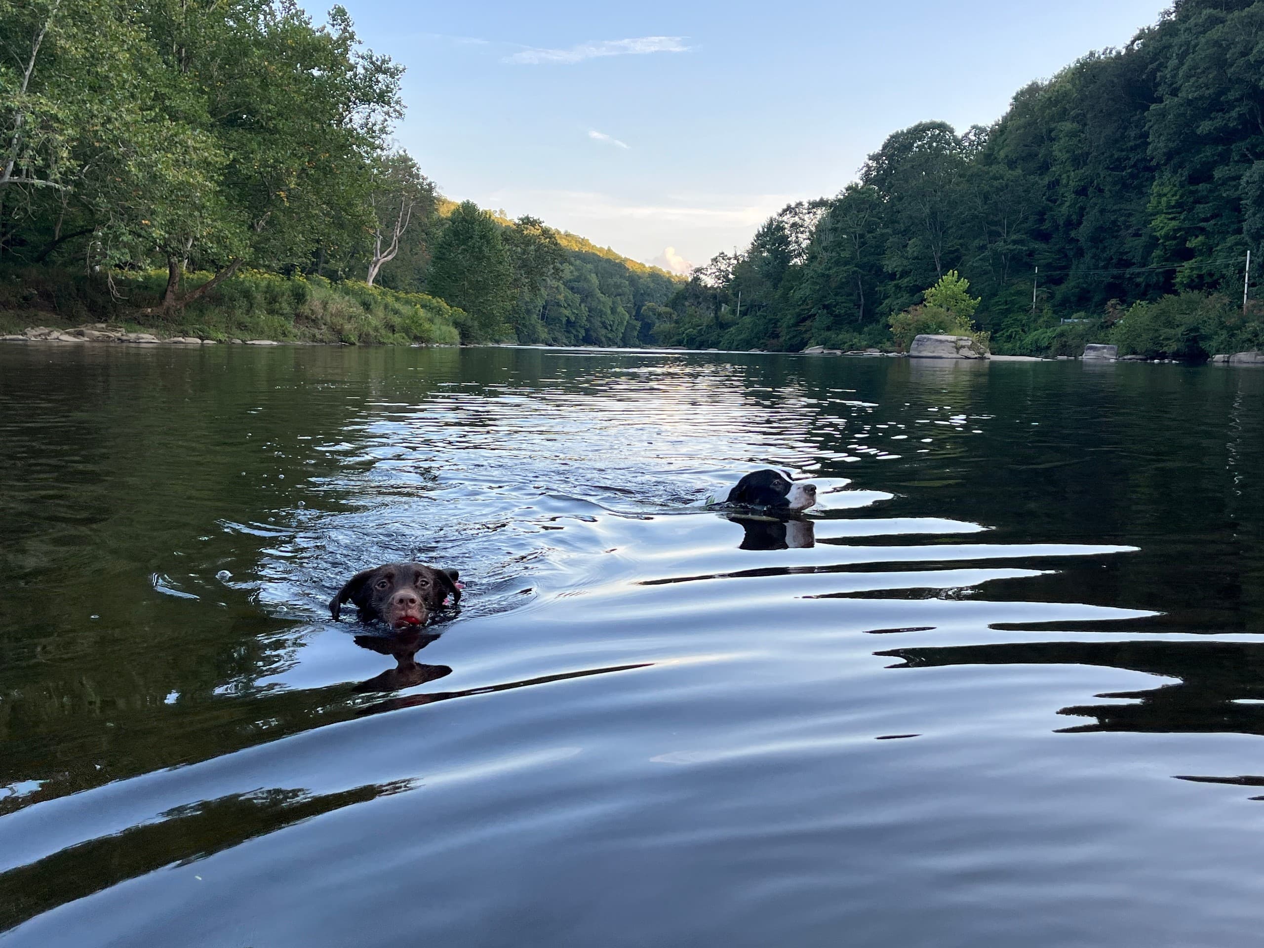 Paddle the Clarion River: 16-Mile Wilcox-to-Ridgway All-Day Adventure photo 4