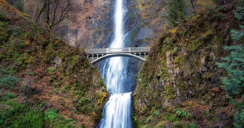 Hood River to Gorge Waterfalls Tour: Half-Day Waterfall and Herb Walk in the Columbia River Gorge photo 3