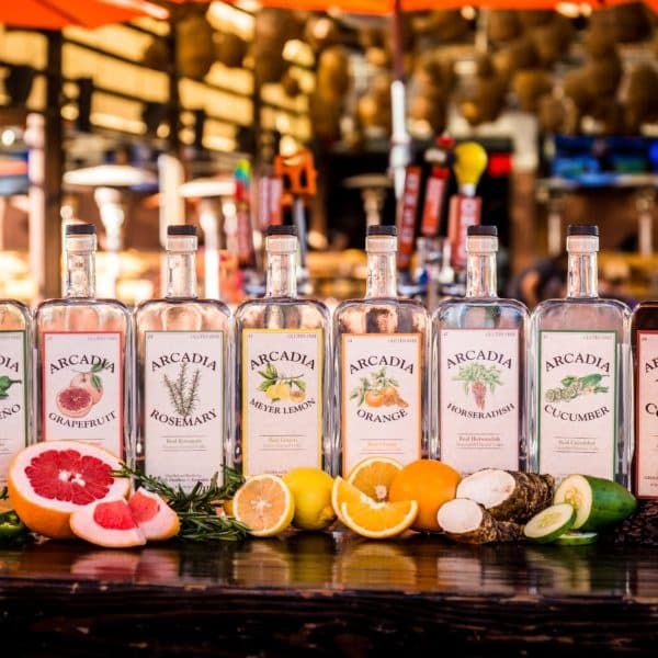 Wheels & Whiskey Tour in Tempe, Arizona Adventure