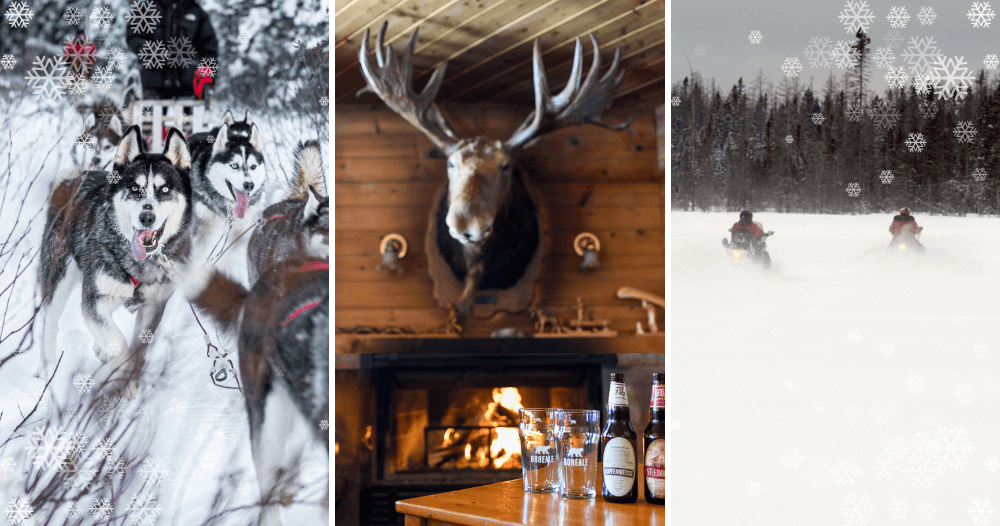 Dog Sled & Snowmobile Adventure at Daaquam, QC
