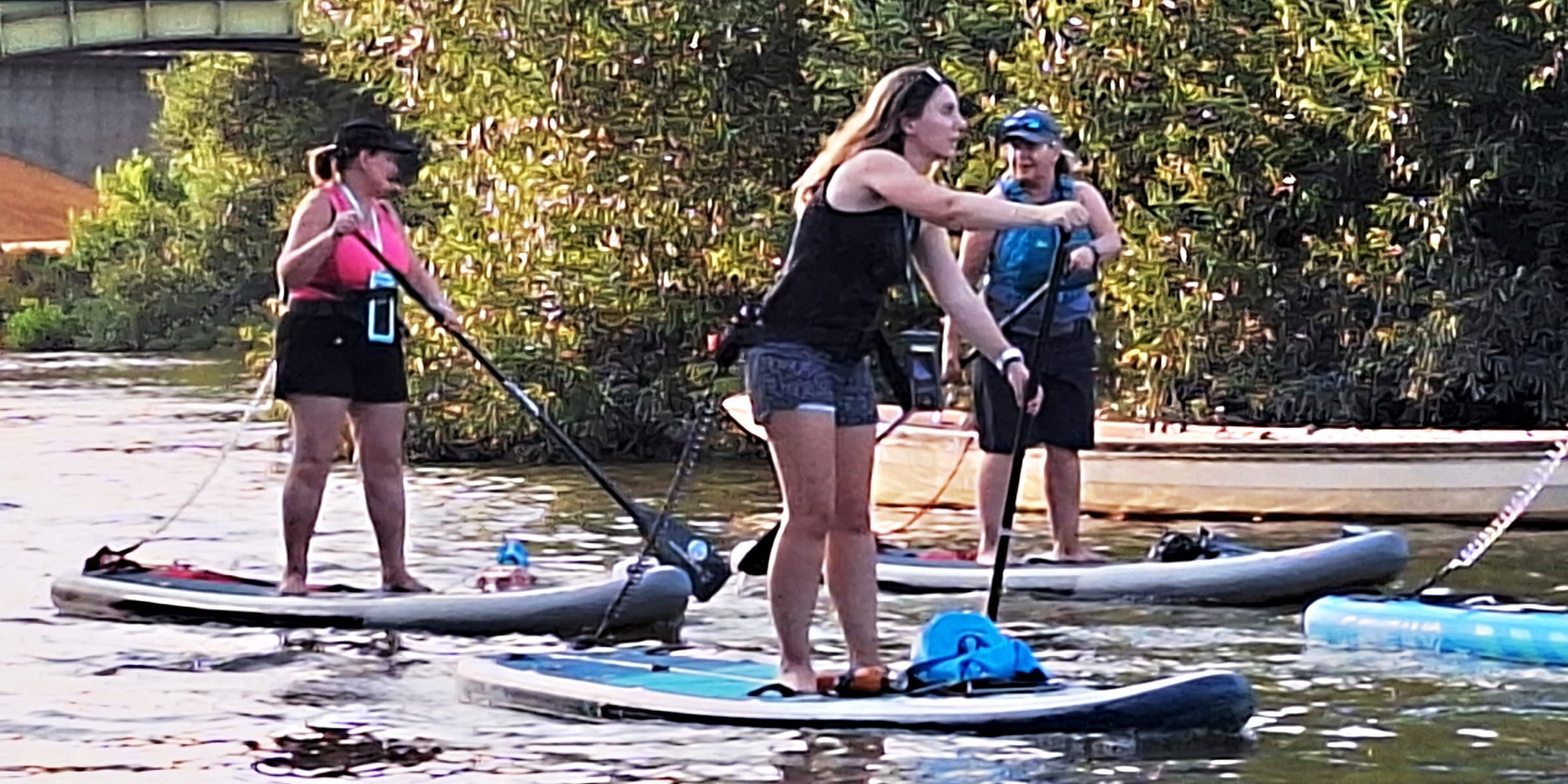Walton-on-Thames SUP Safari: 2-Hour Stand-Up Paddle on the Non-Tidal Thames