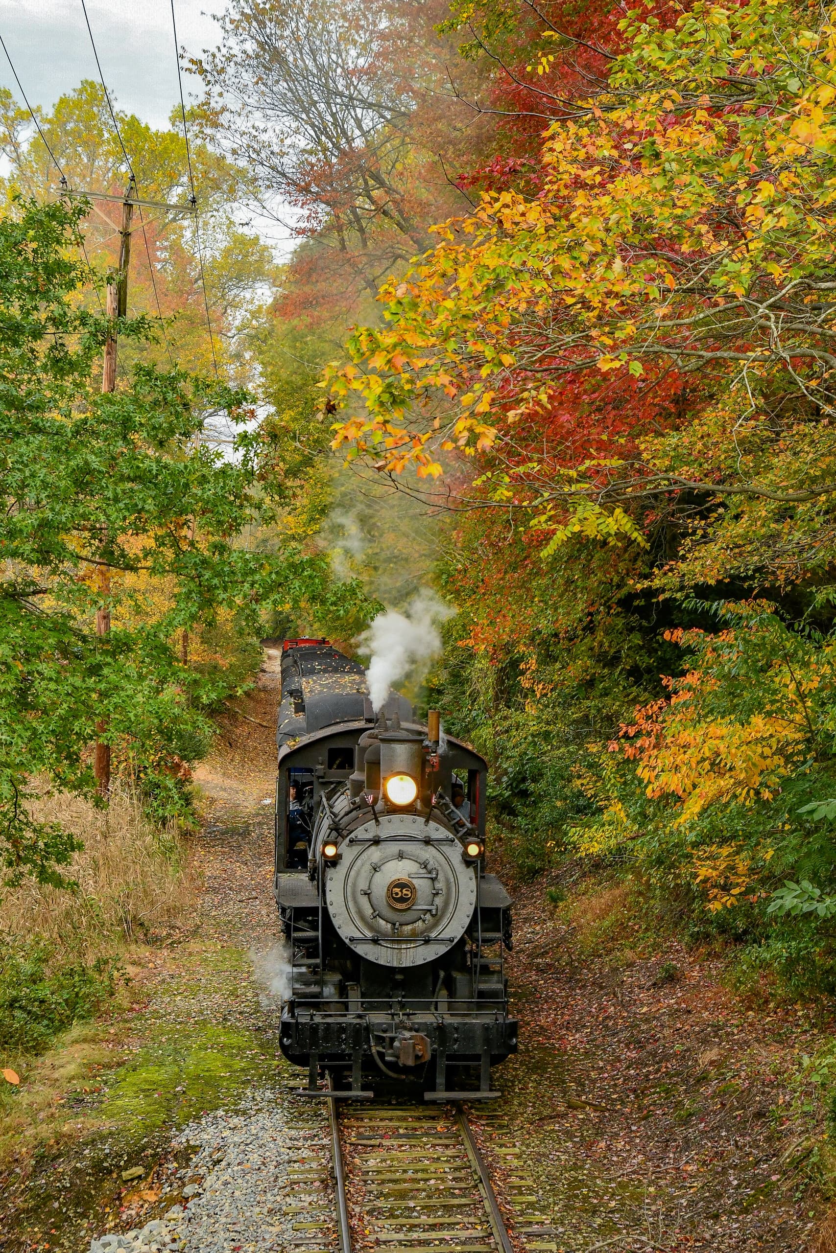 Autumn Leaf Ramble Bus Charter: Wilmington to Hockessin Fall Foliage Ride