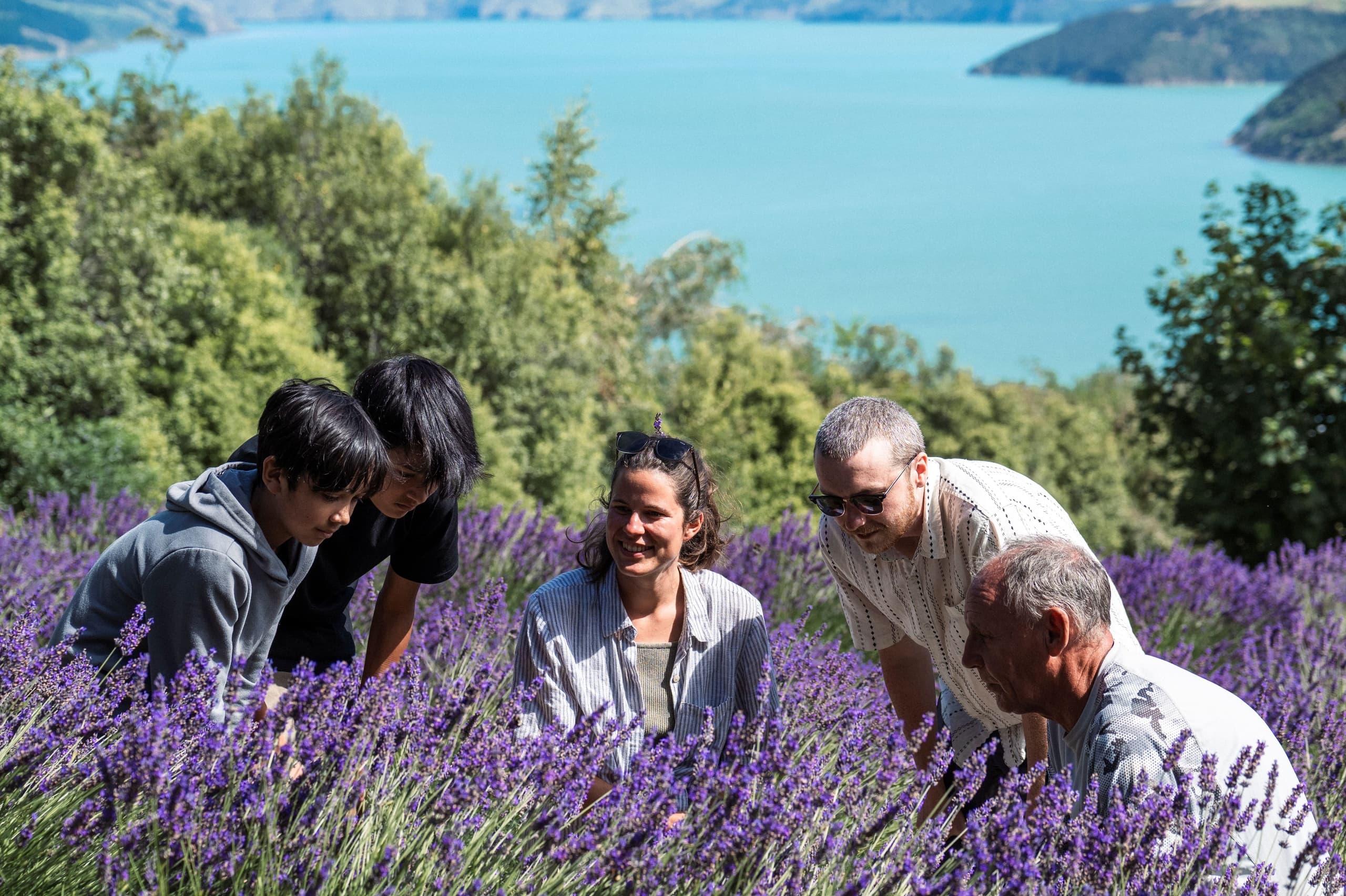 Akaroa Lavender team