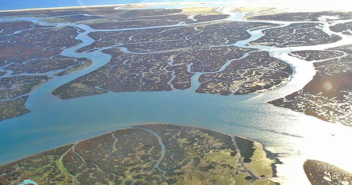 Aerial view of Ria Formosa lagoon channels and sandbanks