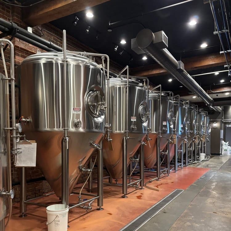 Explore Boone’s Best Breweries on the Party Bus 3 Brewery Tour