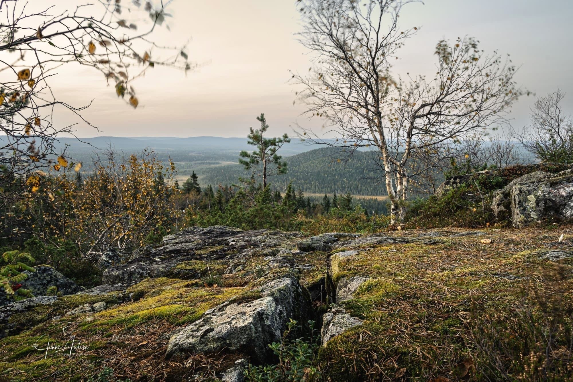 Six-Day Landscape Photography Workshop in Rovaniemi: Capture Southern Lapland's Bogs, Gorges & Felltops photo 1