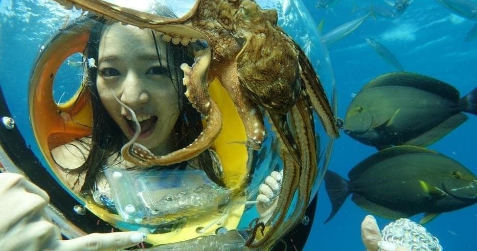 Underwater helmet tour participant encountering octopus in Hawaii