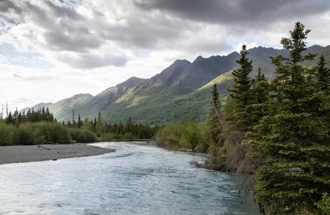 Hatcher Pass Reindeer Adventure from Anchorage — Feed Reindeer, Explore Hatcher Pass & Eagle River photo 1