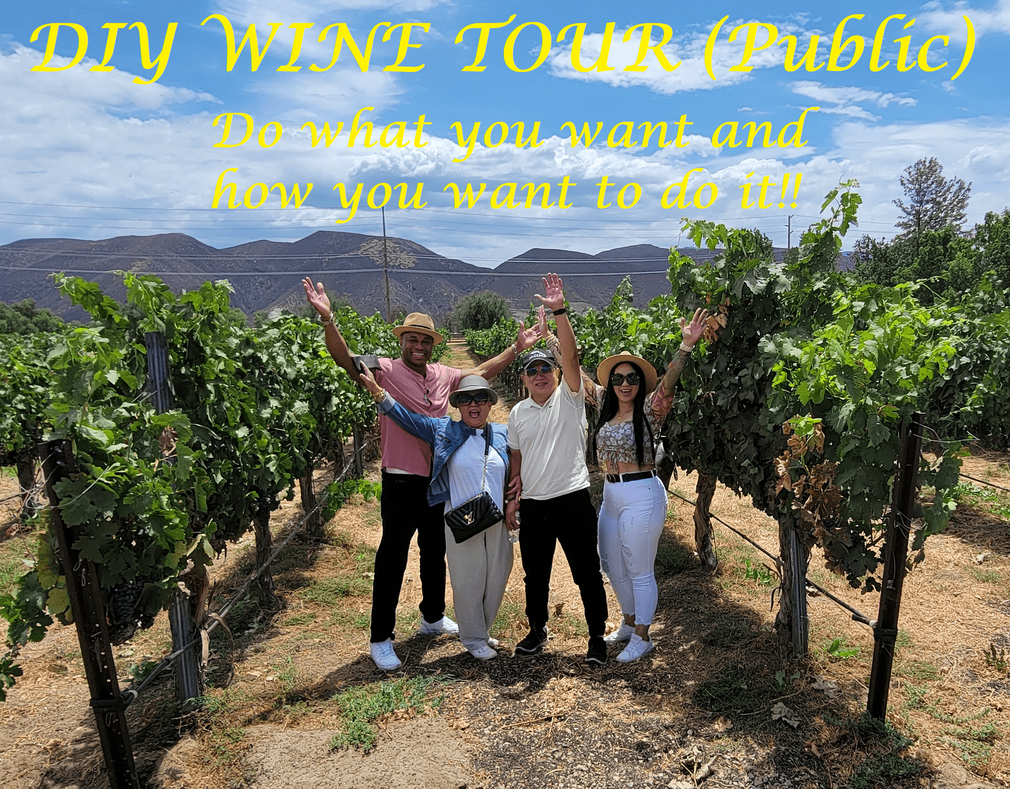 Weekday Special Wine Tour in Temecula, California