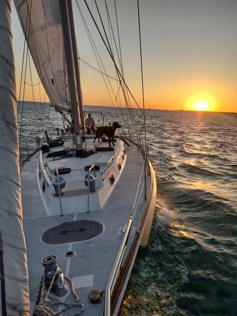 Sailboat cruising at sunset with deck view and golden horizon