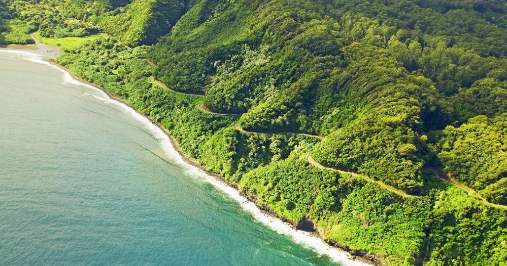Aerial view of lush coastal rainforest meeting turquoise ocean