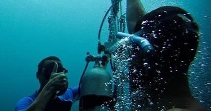 Expedición Galápagos: Freediving & Snorkeling with Manta Rays, Sharks, and Turtles