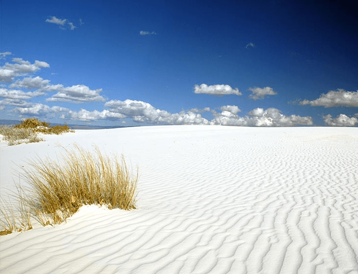 White Sands Trading Company fleet