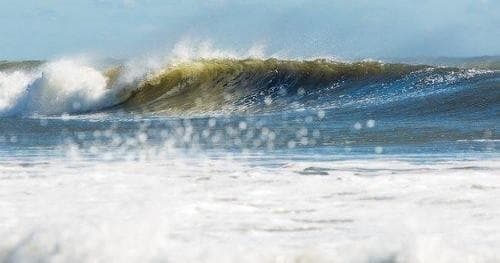 Skimboard Rental Fun in Ocean City, NJ