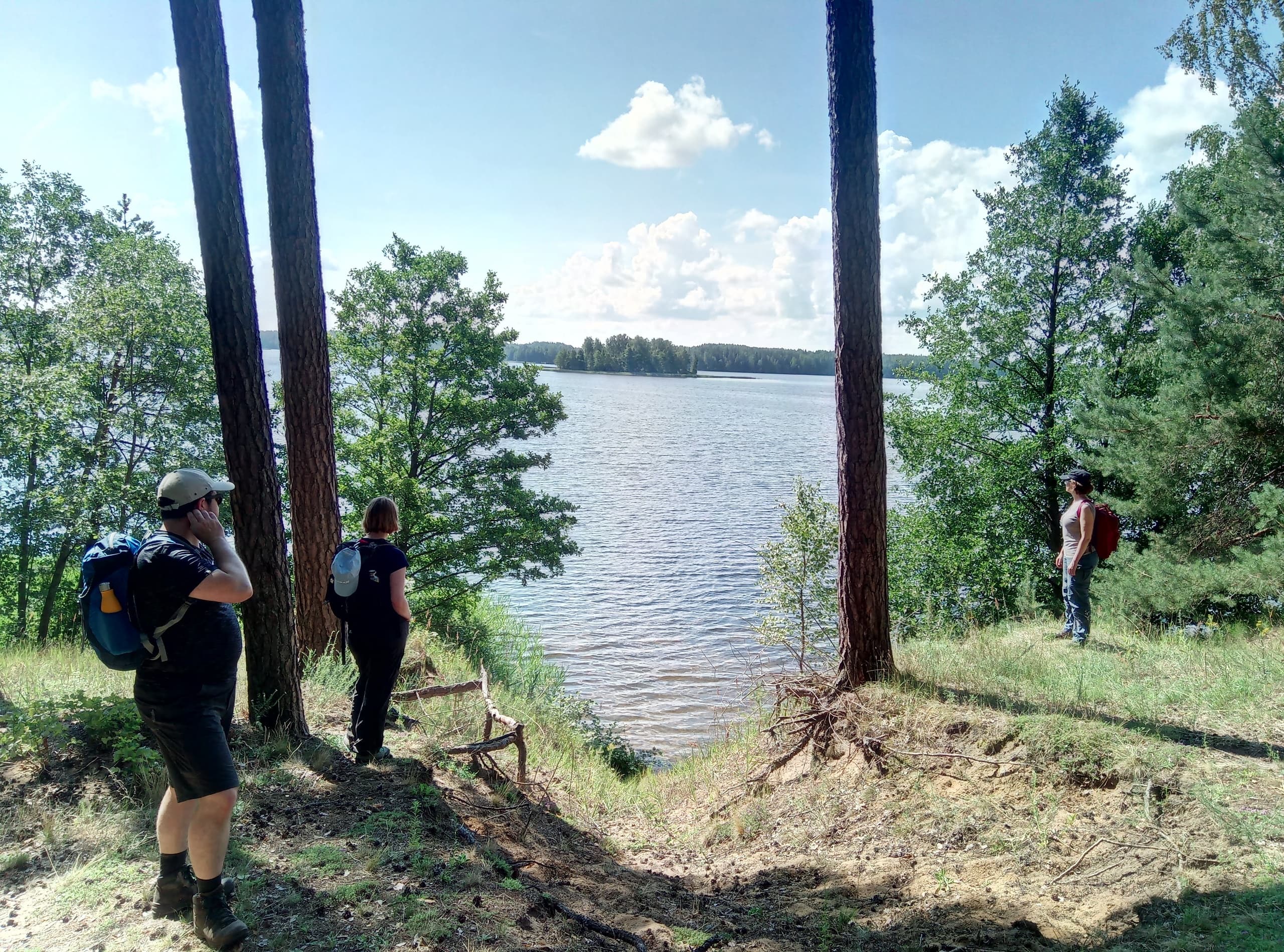 Hikers pausing at lakeshore viewpoint among tall pines