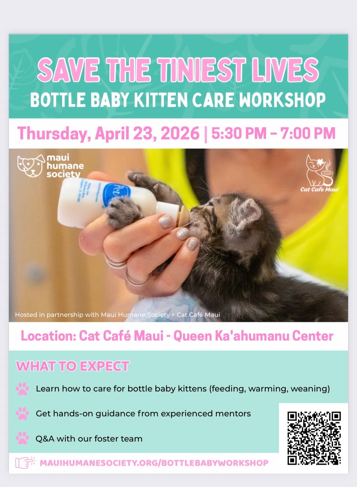 Bottle-Baby Kitten Care Workshop at Cat Cafe Maui — Save the Tiniest Lives in Kahului photo 1