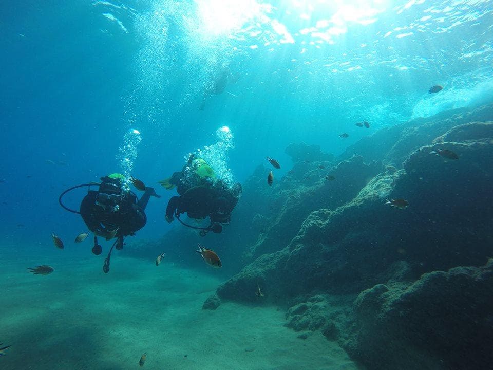 Reef scuba diving with sunlight filtering over Lanzarote rocks