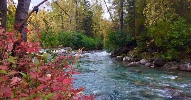Design Your Own Alaska Day: Private Guided Tours from Anchorage